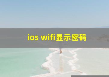 ios wifi显示密码